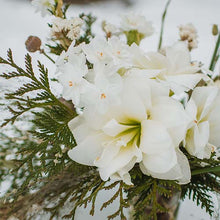 Load image into Gallery viewer, Subscription (Annual)