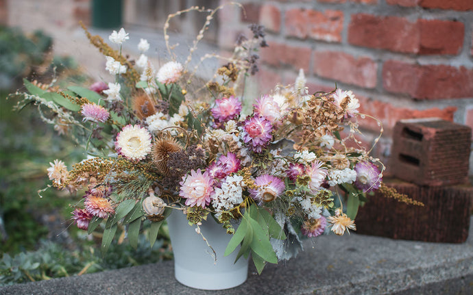 Winter flowers: A season of ethereal beauty