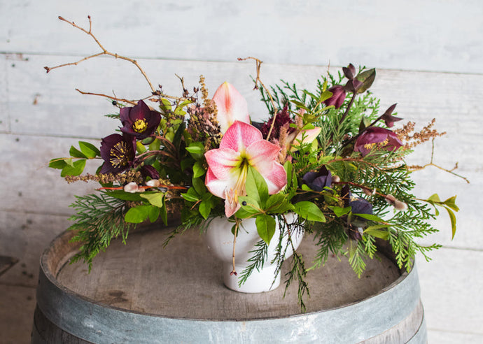 Foraging in February