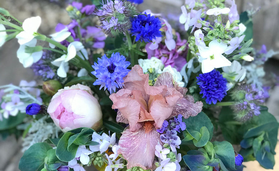 Flower Subscriptions - Three options for seasonal flowers throughout the year