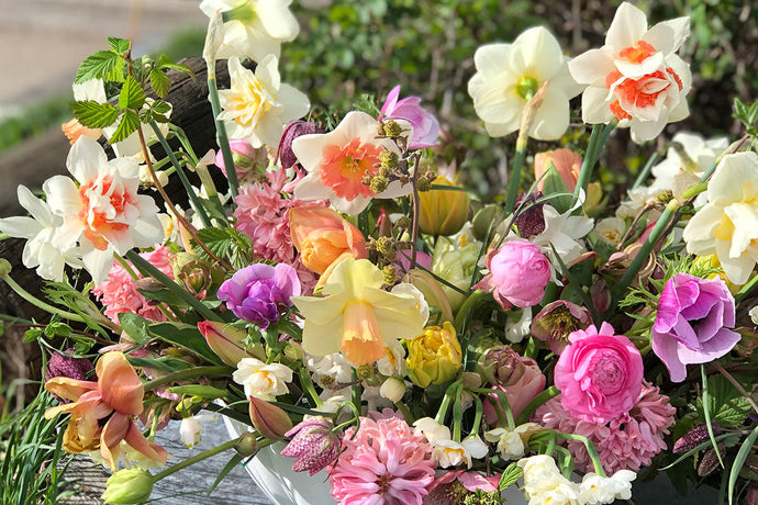 Celebrating Earth Day with a Commitment to Sustainability and Environmental Stewardship