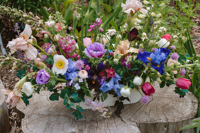 The Unique Beauty of Spring Flowers