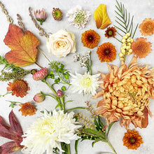 Load image into Gallery viewer, subdued autumn floral palette with ivrory, copper, and amber