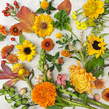 Load image into Gallery viewer, sunflowers, marigolds, mums, rose hips, cress, strawflower, and snapdragons.