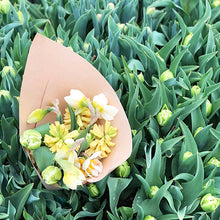 Load image into Gallery viewer, Seasonal Bouquet Subscription (Available again in the Spring)
