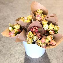 Load image into Gallery viewer, Tulip Bulbs - Gift Box