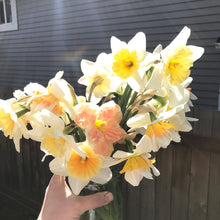 Load image into Gallery viewer, Seasonal Bouquet Subscription