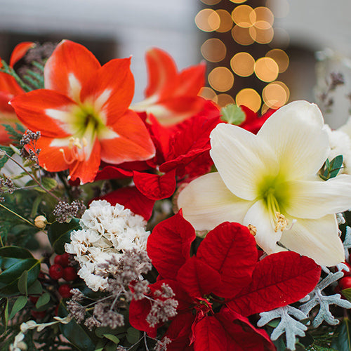 Floral Studio Workshops & Events