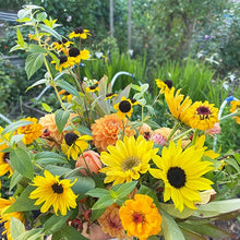 Load image into Gallery viewer, sunflower arrangement - yellow birthday flowers