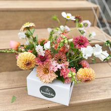 Load image into Gallery viewer, cosmos zinnias dahlias and sweeties