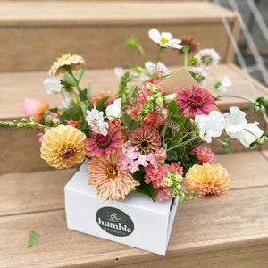 cosmos zinnias dahlias and sweeties