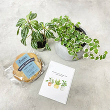 Load image into Gallery viewer, Cookie Gift Box