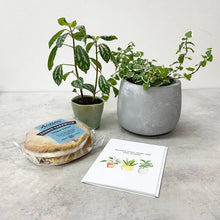 Load image into Gallery viewer, Cookie Gift Box