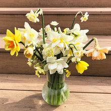 Load image into Gallery viewer, Sunny Yellow Daffodil Arrangement in the Spring