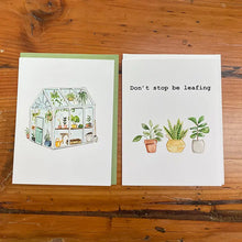 Load image into Gallery viewer, Potted House Plant (Assorted)