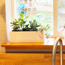 Load image into Gallery viewer, Succulent Window Garden